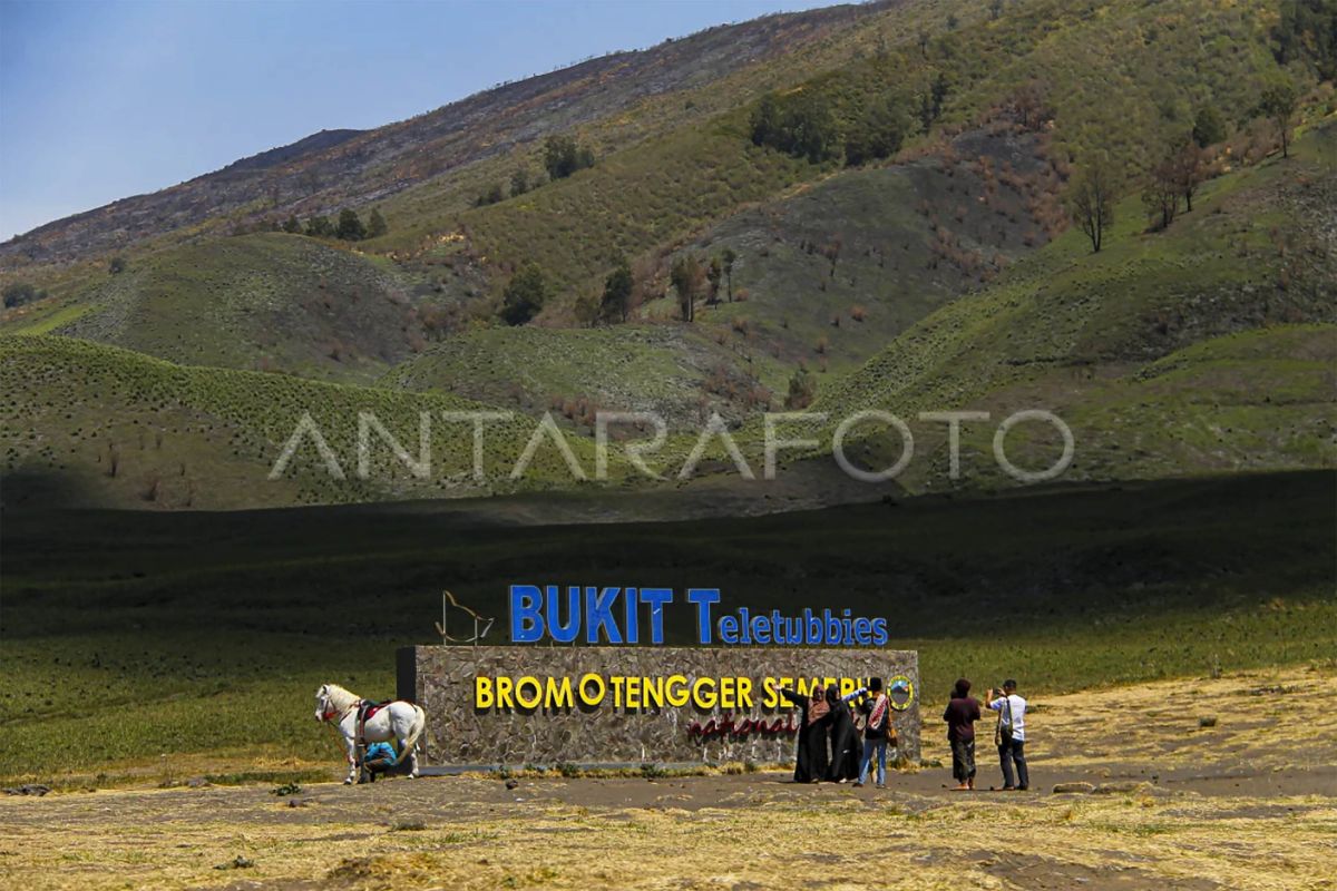 Kunjungan wisatawan ke Bromo belum pulih setelah kebakaran
